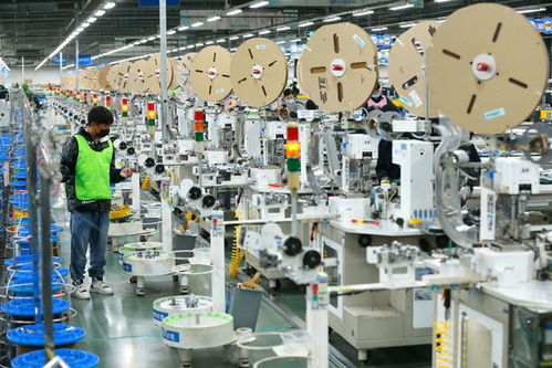 組圖 山東出口企業(yè)開工忙,力爭(zhēng)新年 開門紅