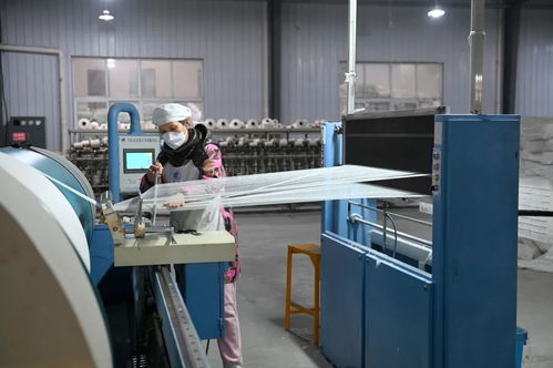 全國(guó)市場(chǎng)份額占比百分之六十 產(chǎn)品出口二十多個(gè)國(guó)家 荊州苧麻產(chǎn)業(yè) 成長(zhǎng)記